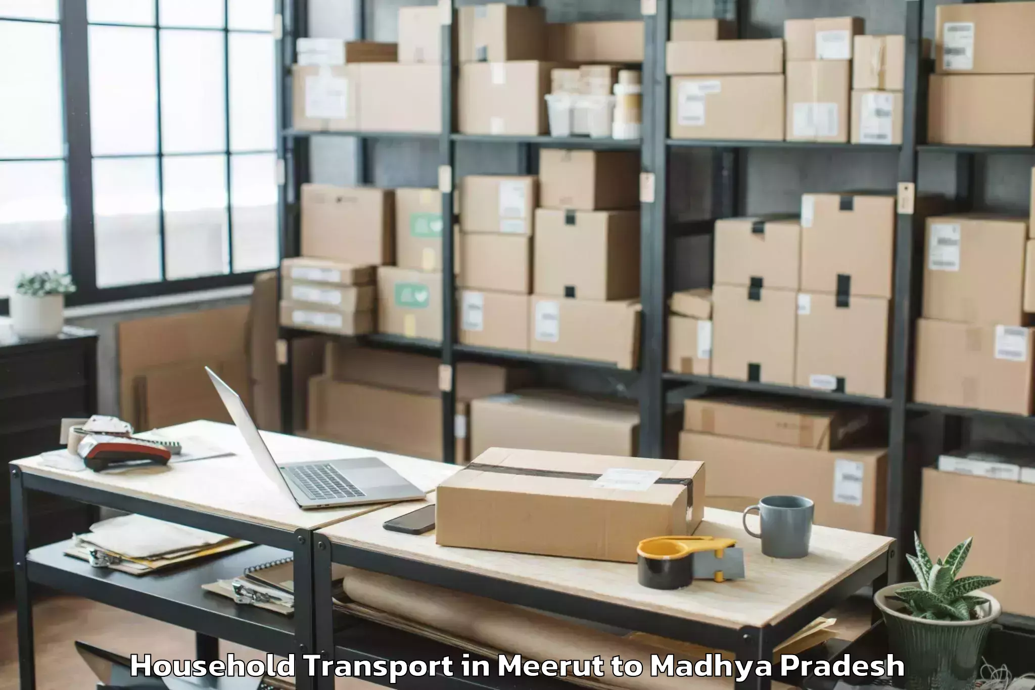 Book Meerut to Satna Household Transport Online